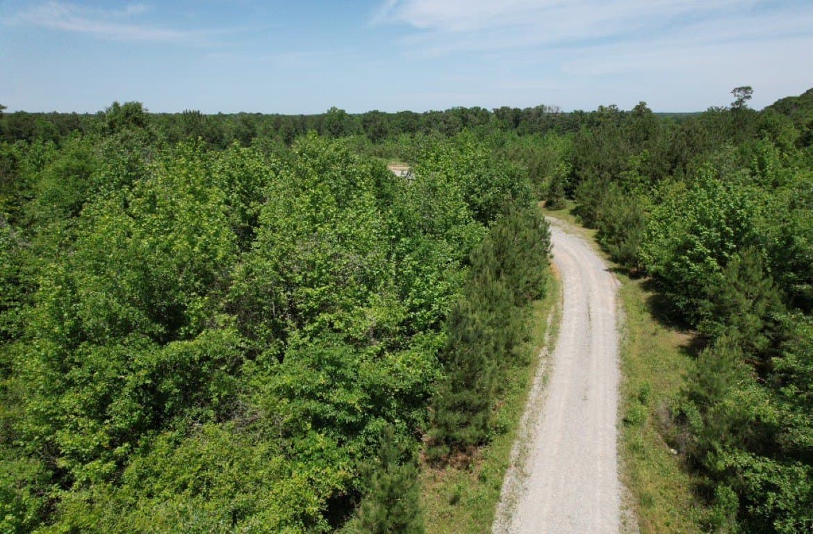 45 acres in Panola County - photo 33
