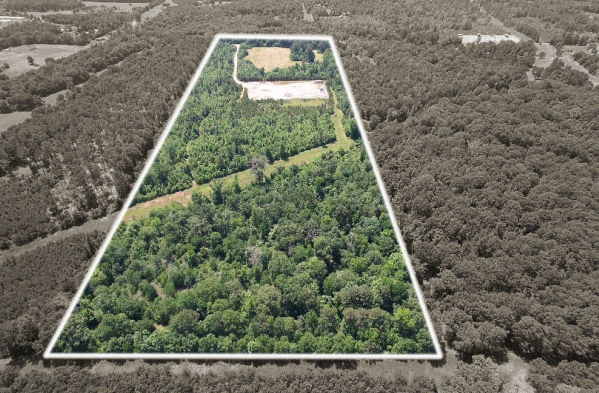 45 acres in Panola County - photo 2