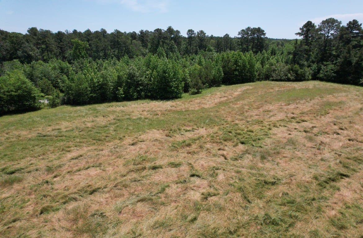 45 acres in Panola County - photo 20