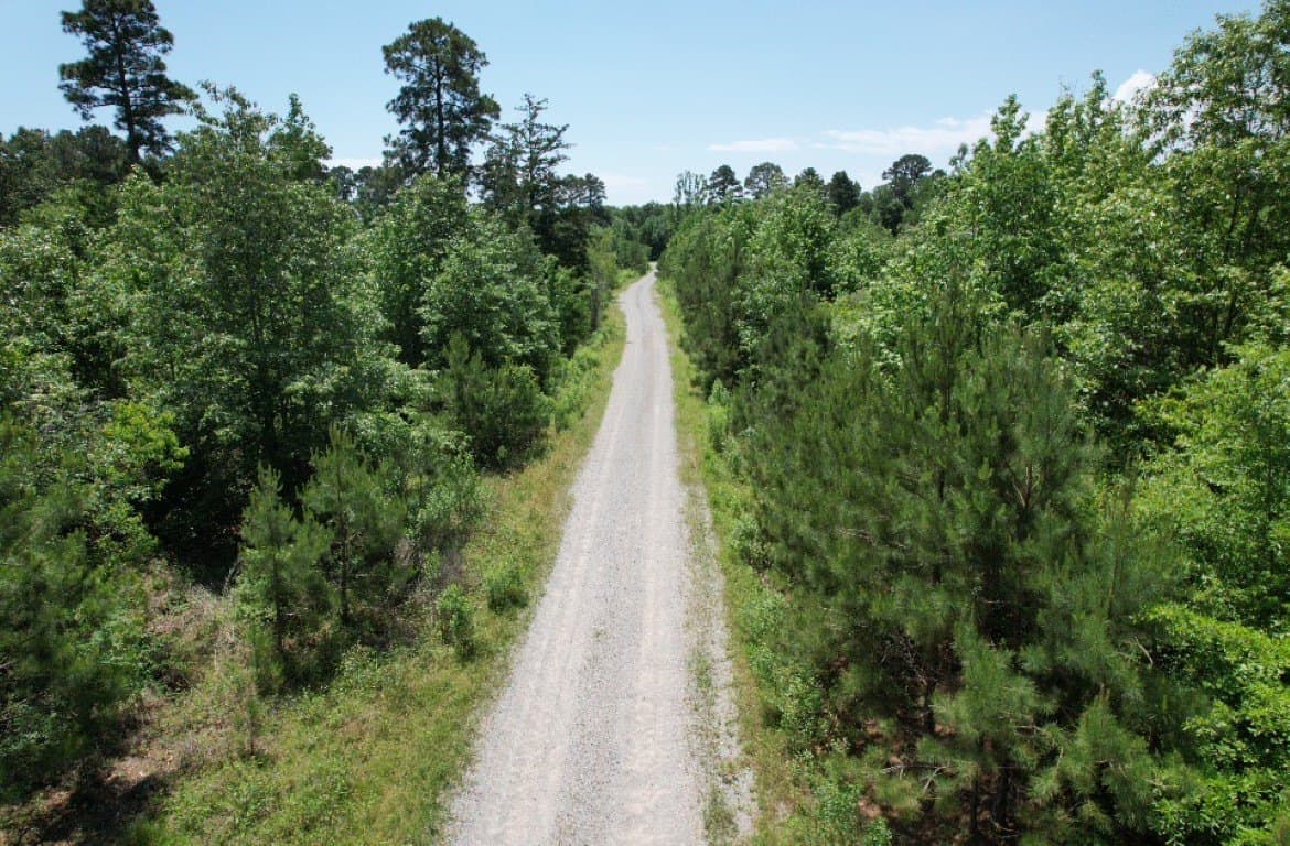 45 acres in Panola County - photo 29