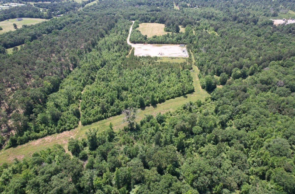 45 acres in Panola County - photo 9