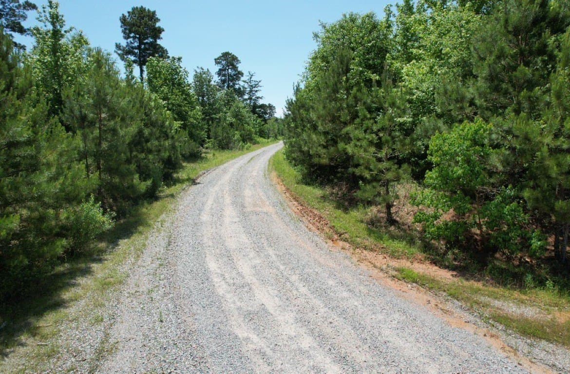45 acres in Panola County - photo 25