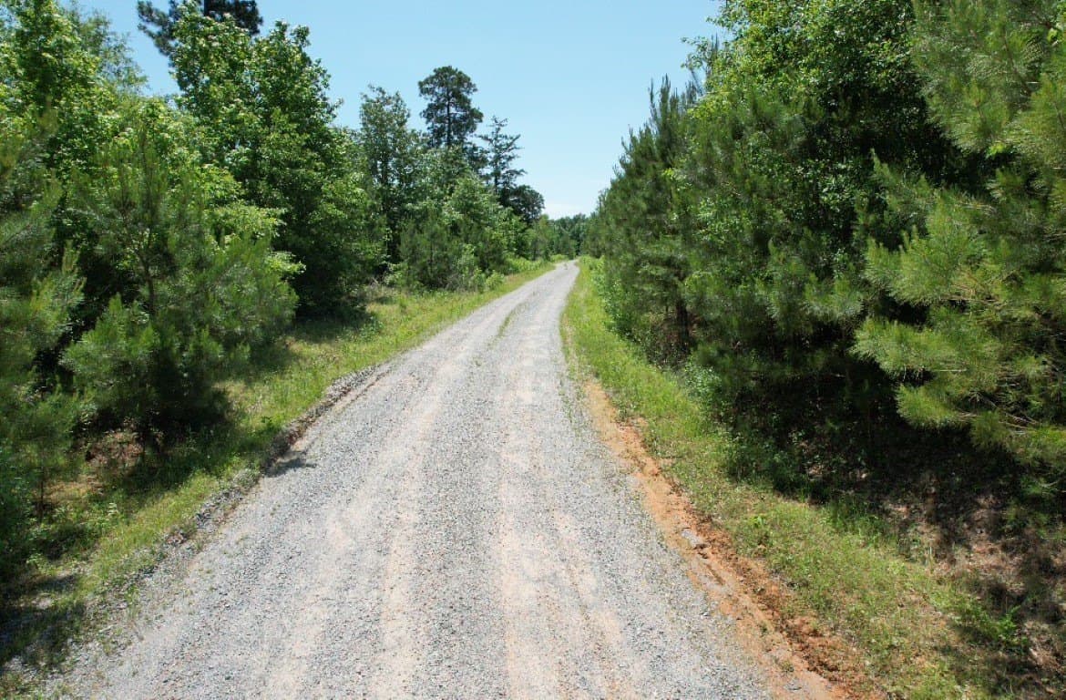 45 acres in Panola County - photo 26
