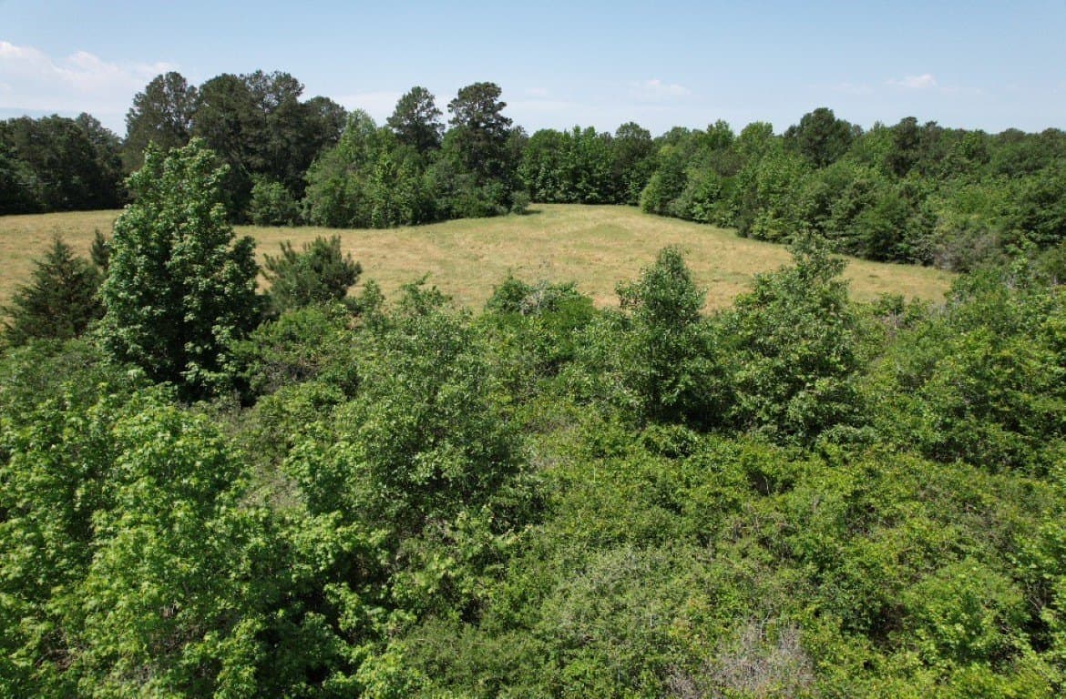 45 acres in Panola County - photo 32