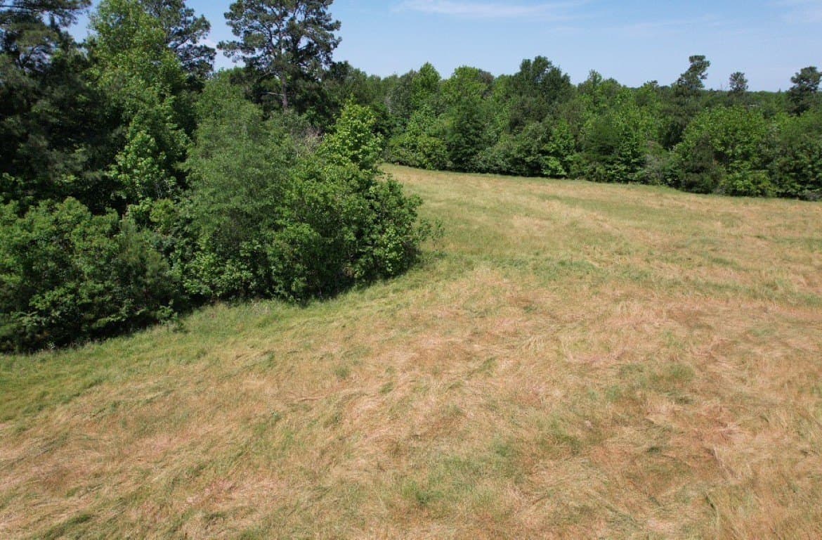 45 acres in Panola County - photo 23