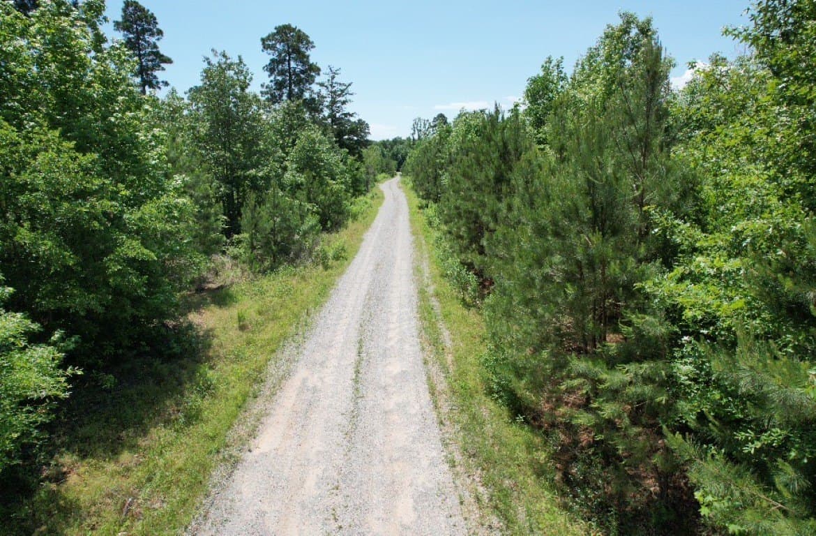 45 acres in Panola County - photo 28