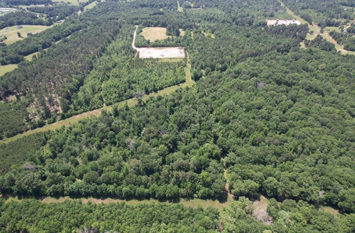 45 acres in Panola County - photo 8