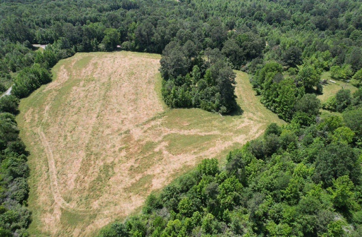 45 acres in Panola County - photo 14