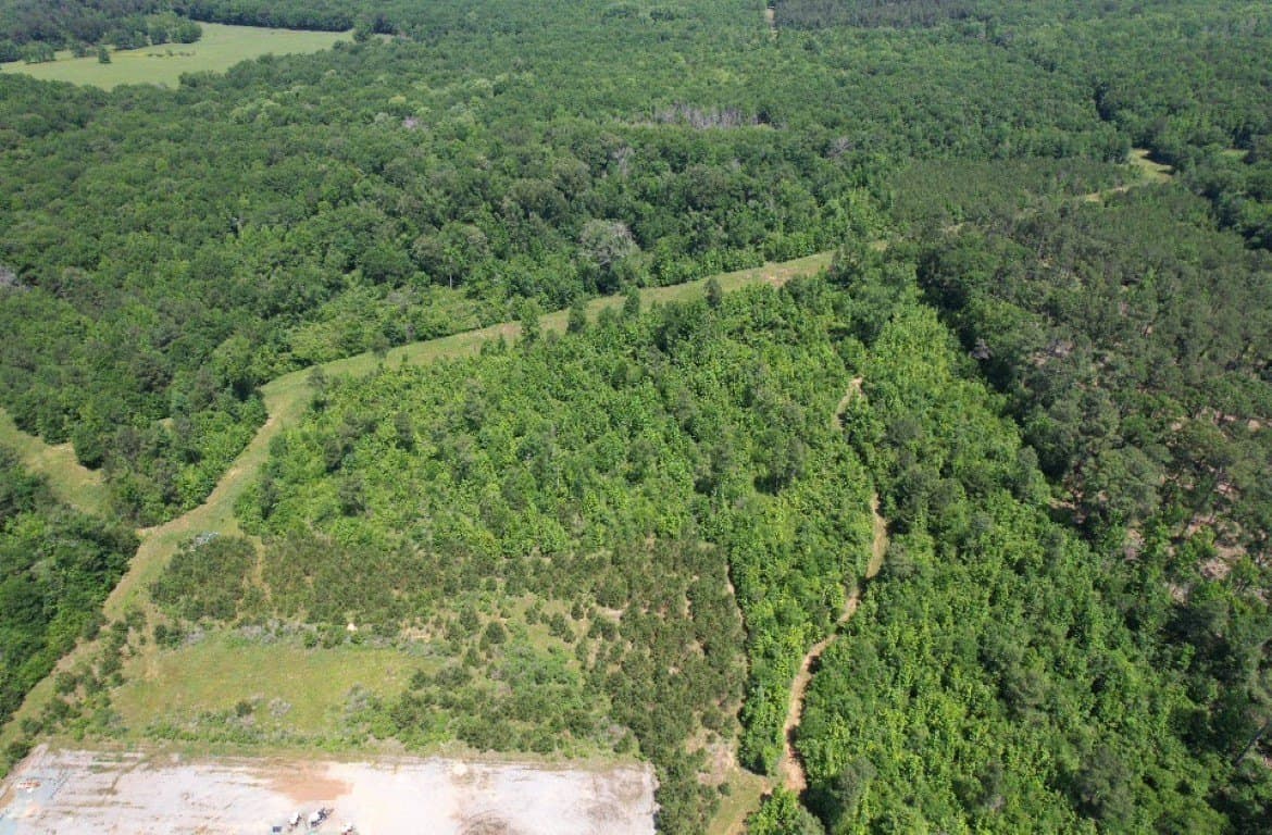 45 acres in Panola County - photo 4