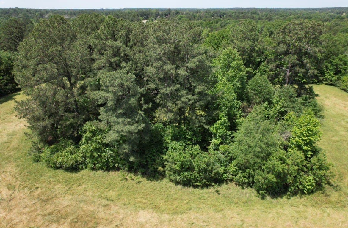 45 acres in Panola County - photo 18