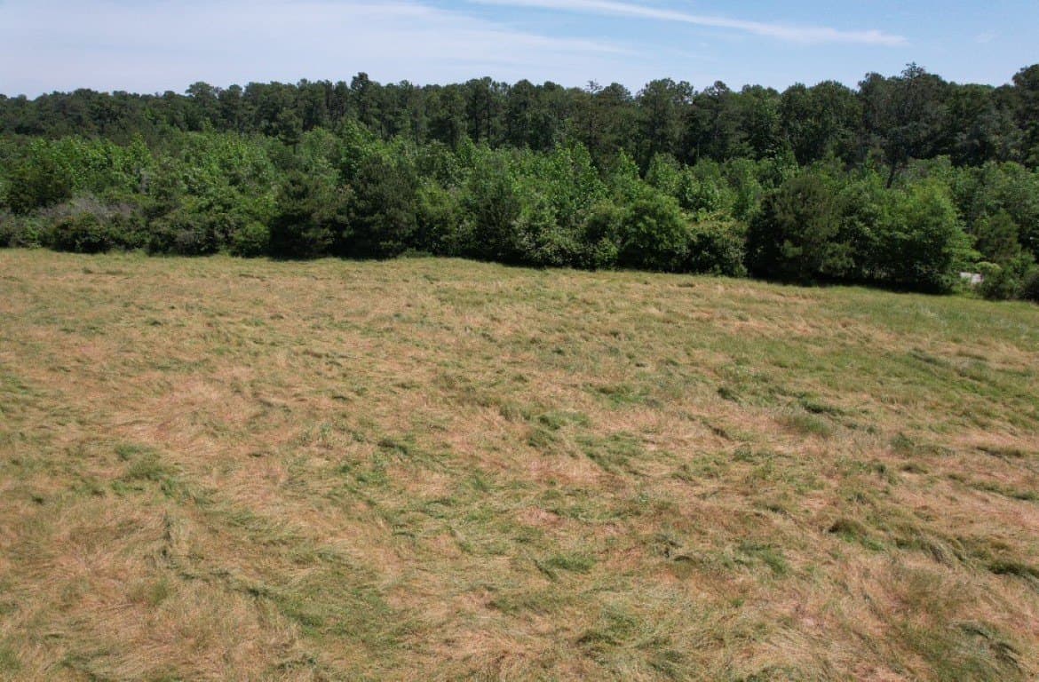 45 acres in Panola County - photo 21
