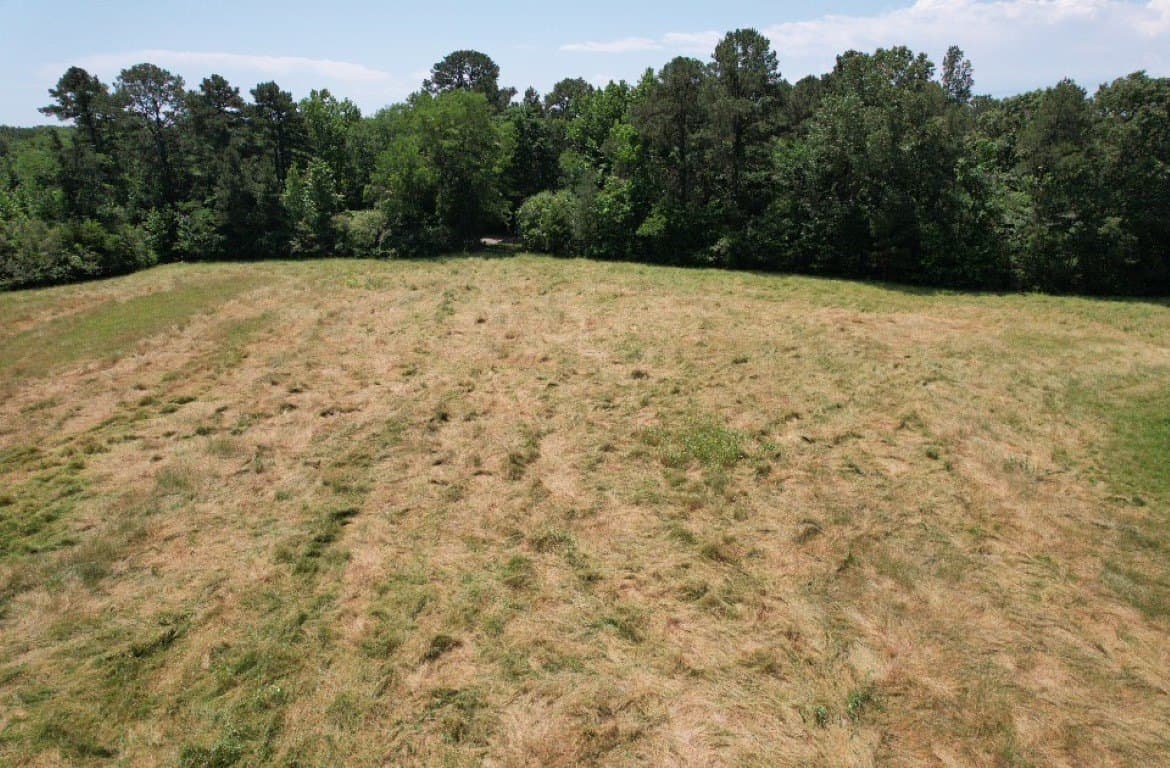 45 acres in Panola County - photo 19