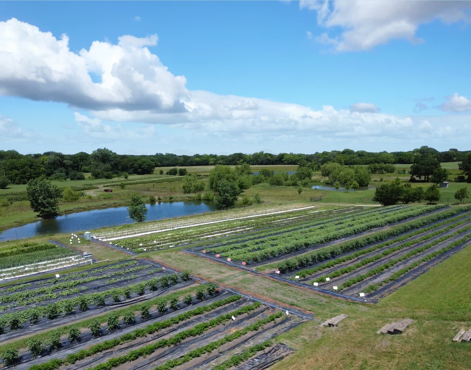 27.93 acres in Collin County