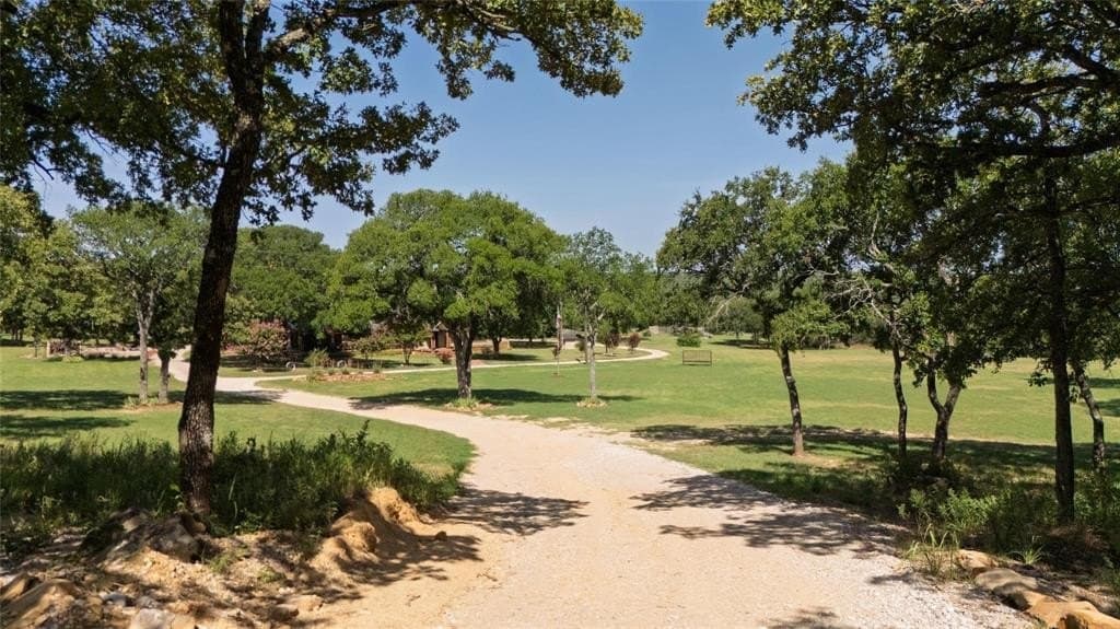 74.62 acres in Montague County gallery image 3