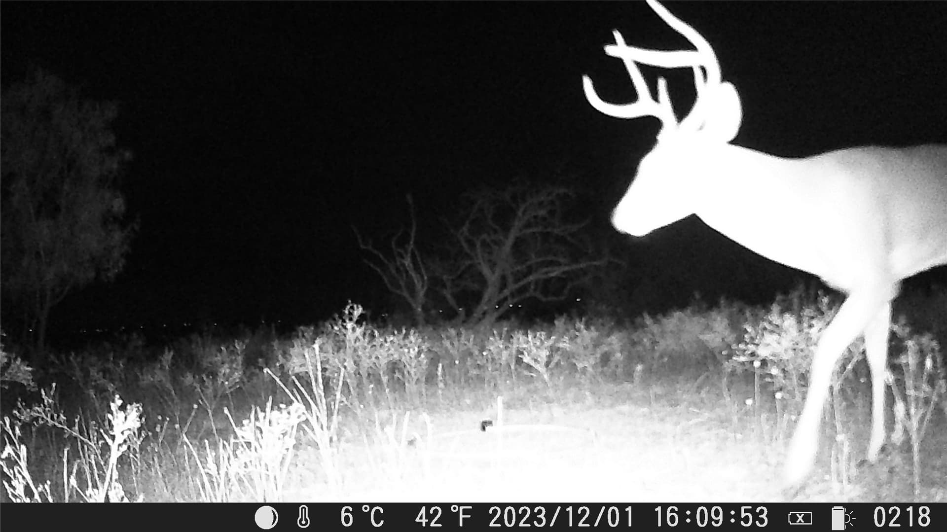 10.01 acres in Comanche County - photo 9