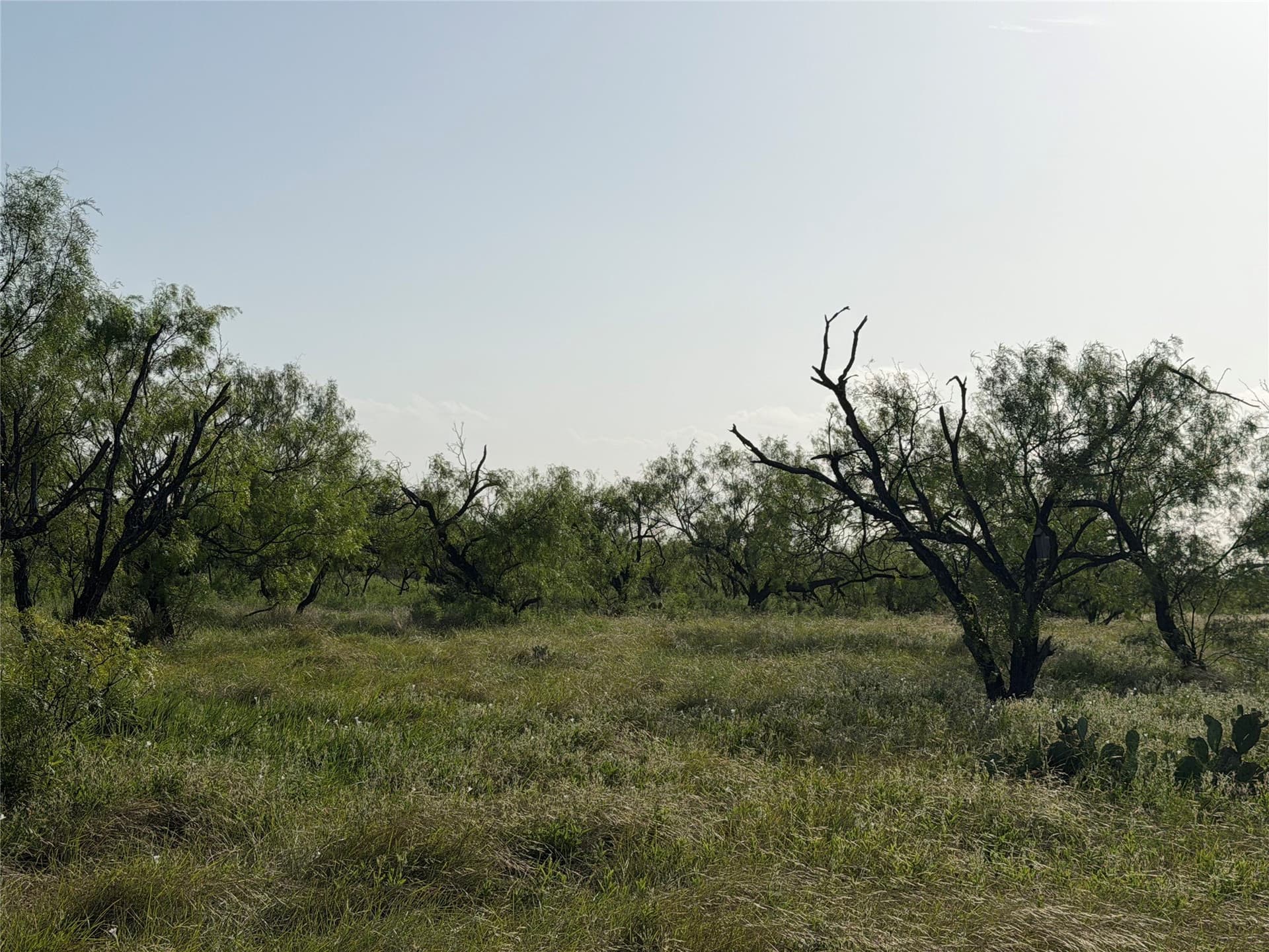 10.01 acres in Comanche County - photo 10