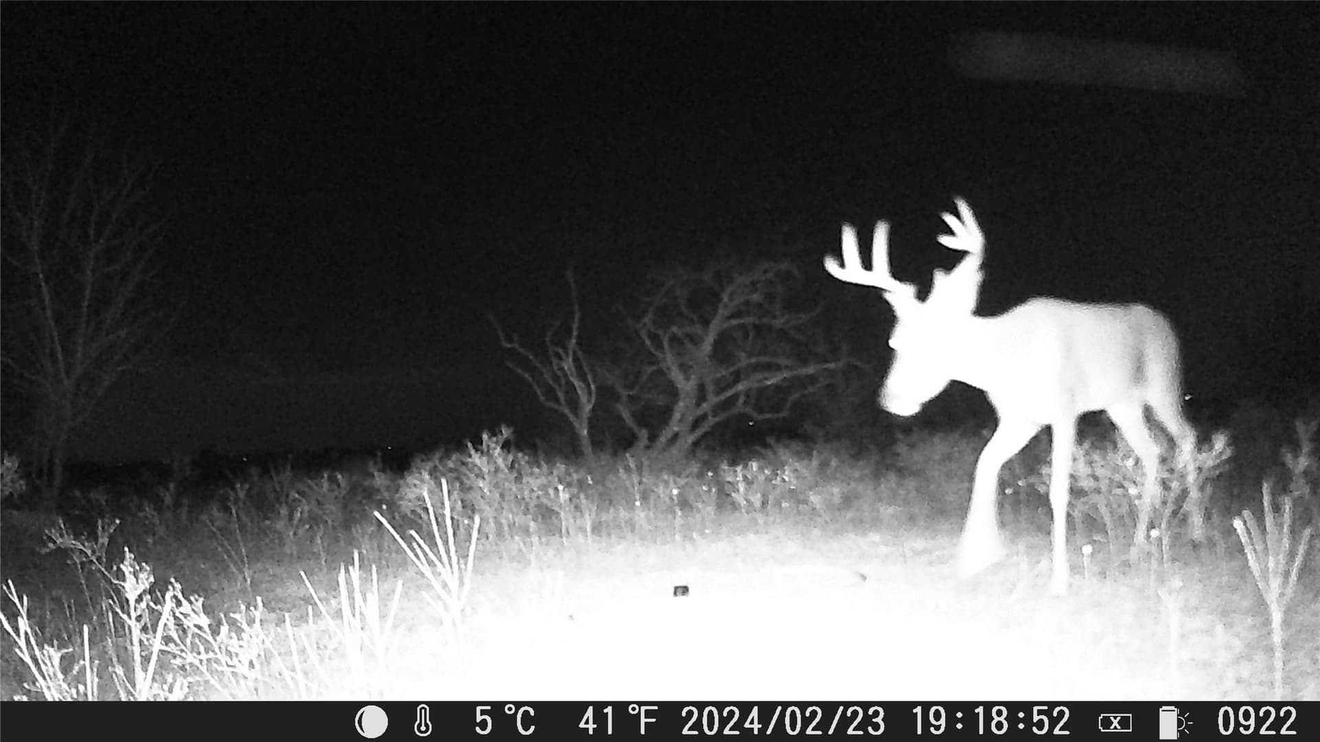 10.01 acres in Comanche County - photo 4
