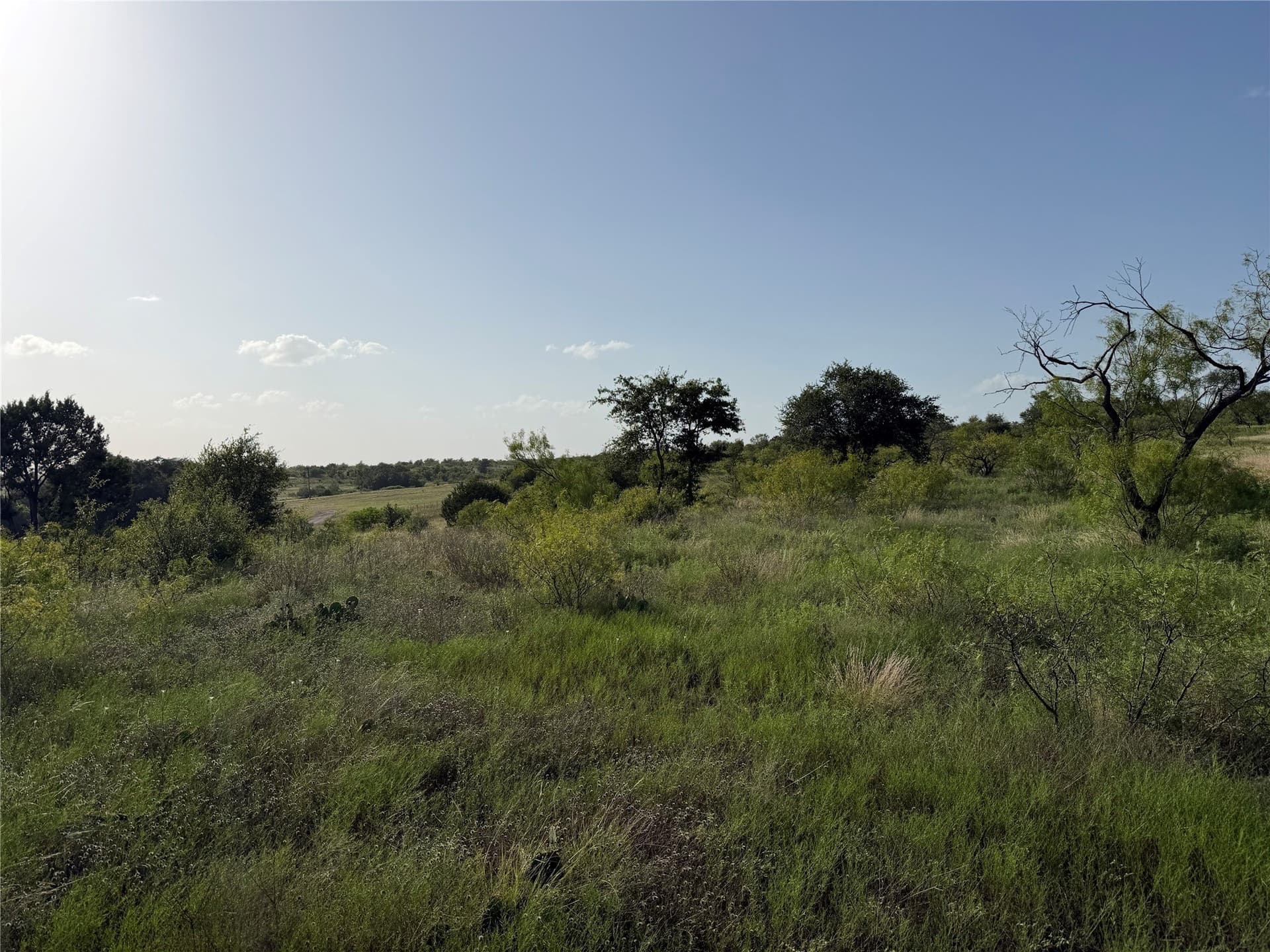 10.01 acres in Comanche County - photo 8