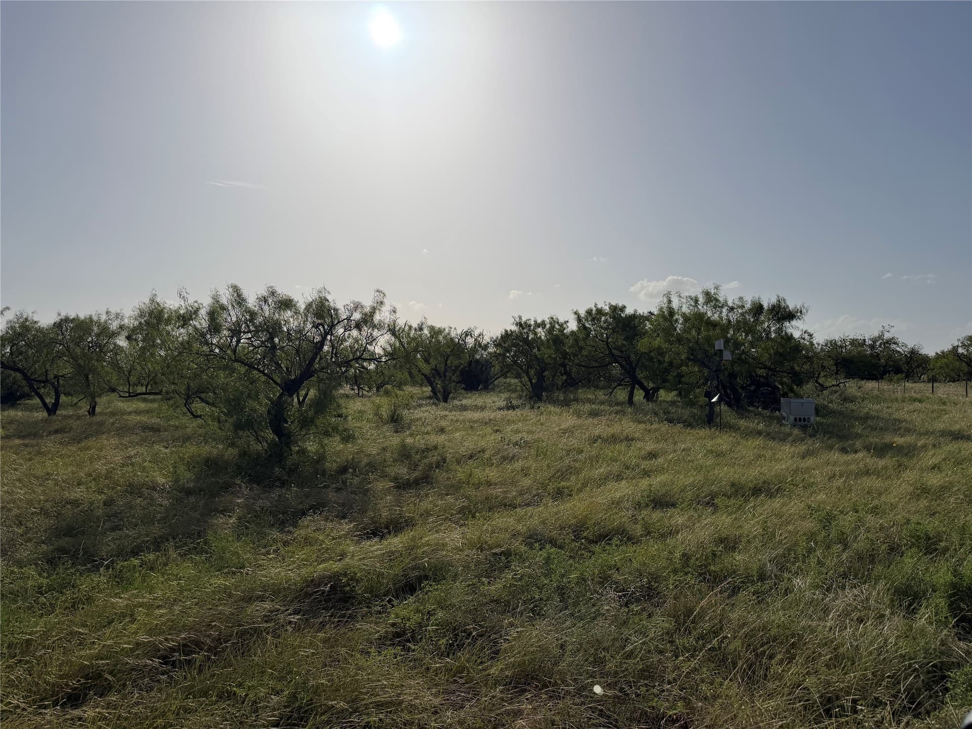 10.01 acres in Comanche County - photo 2