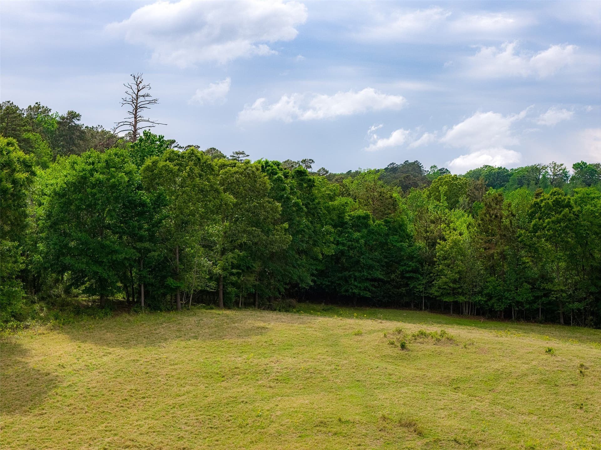 61.89 acres in Cherokee County - photo 23