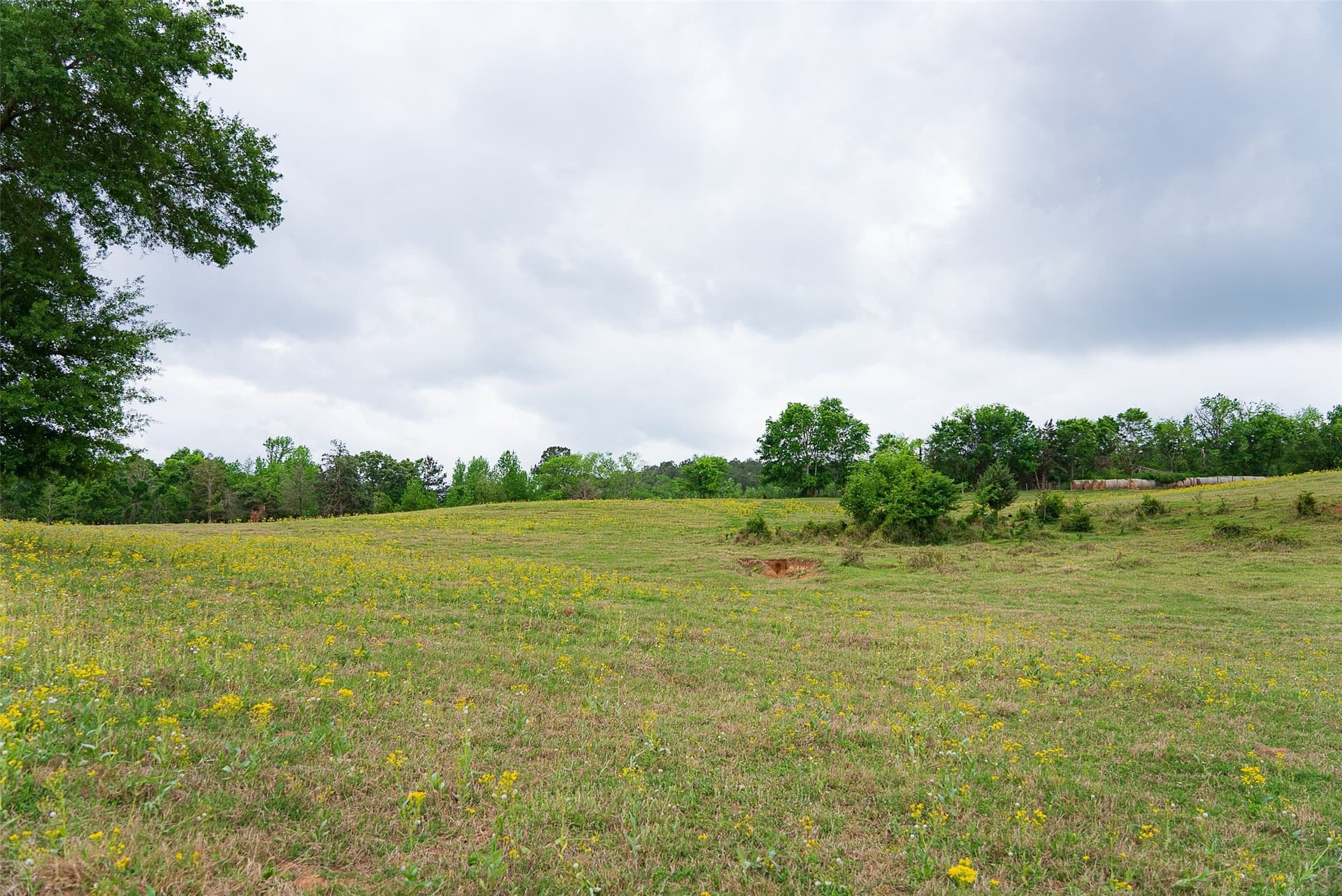 61.89 acres in Cherokee County - photo 37