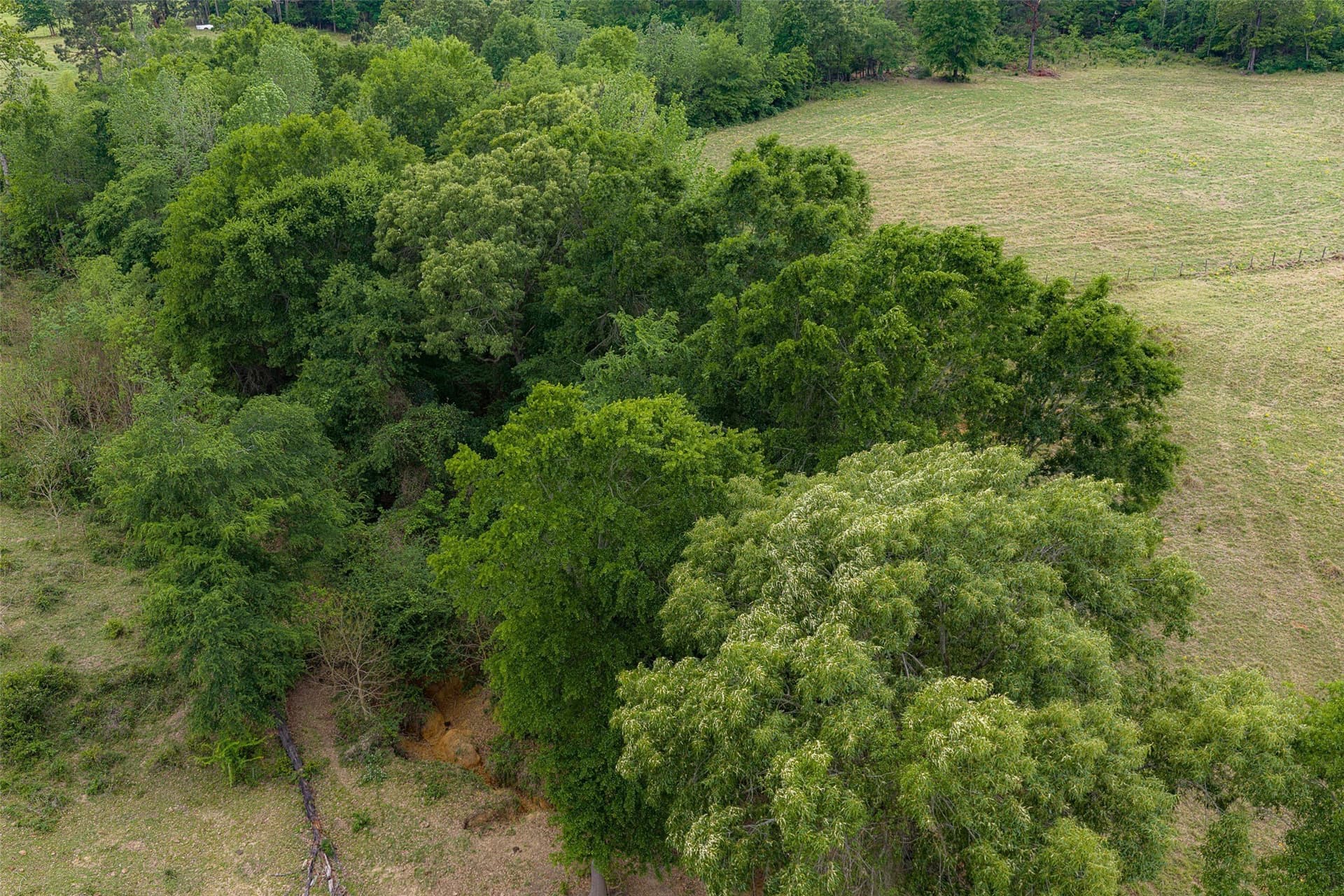 61.89 acres in Cherokee County - photo 36