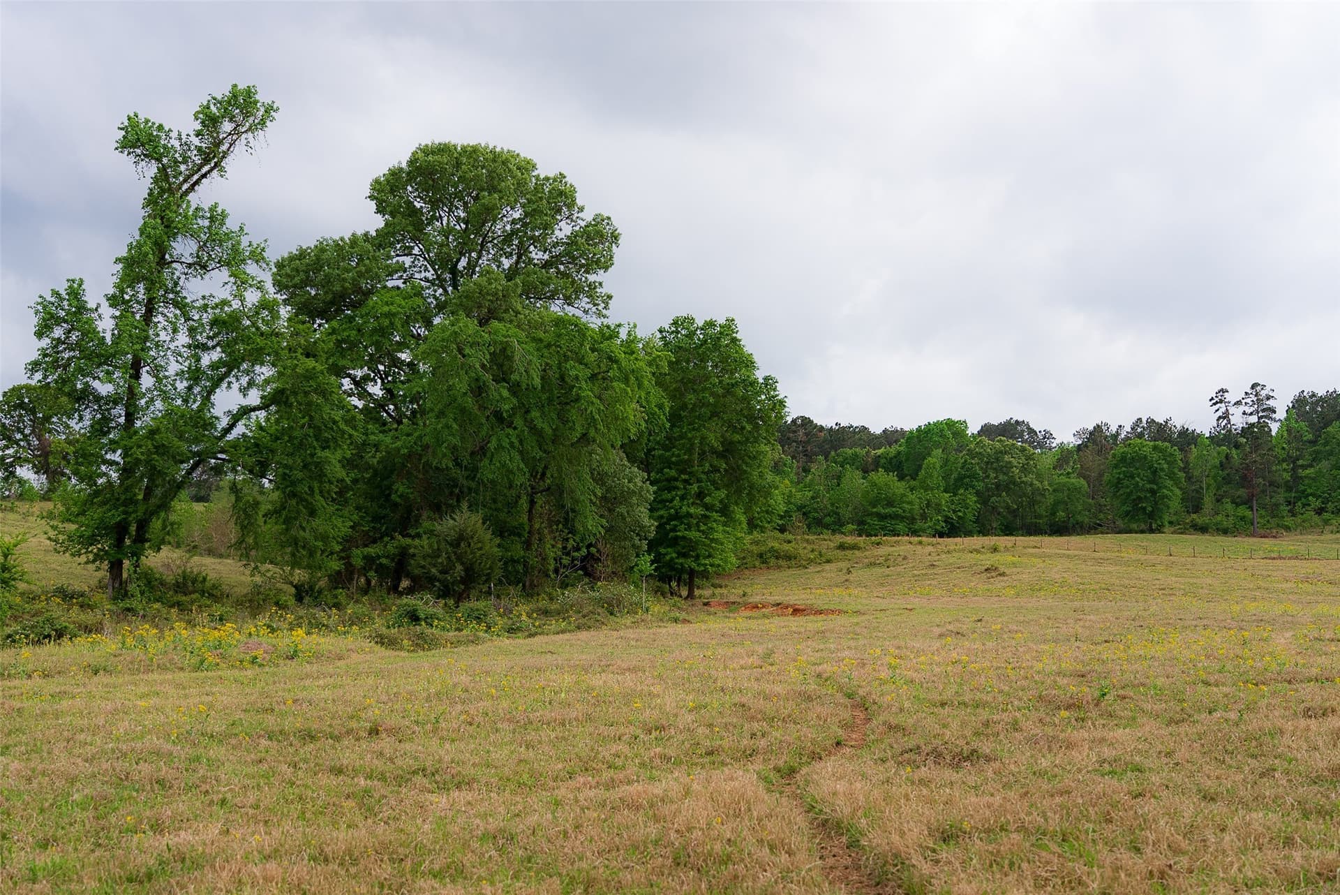 61.89 acres in Cherokee County - photo 25