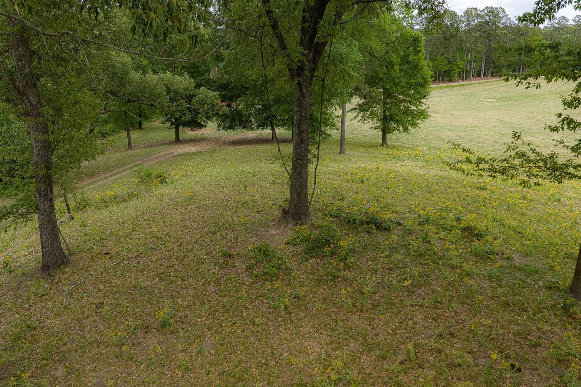 61.89 acres in Cherokee County - photo 26
