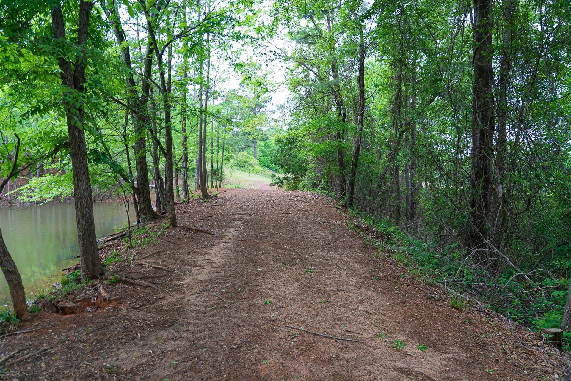61.89 acres in Cherokee County - photo 4