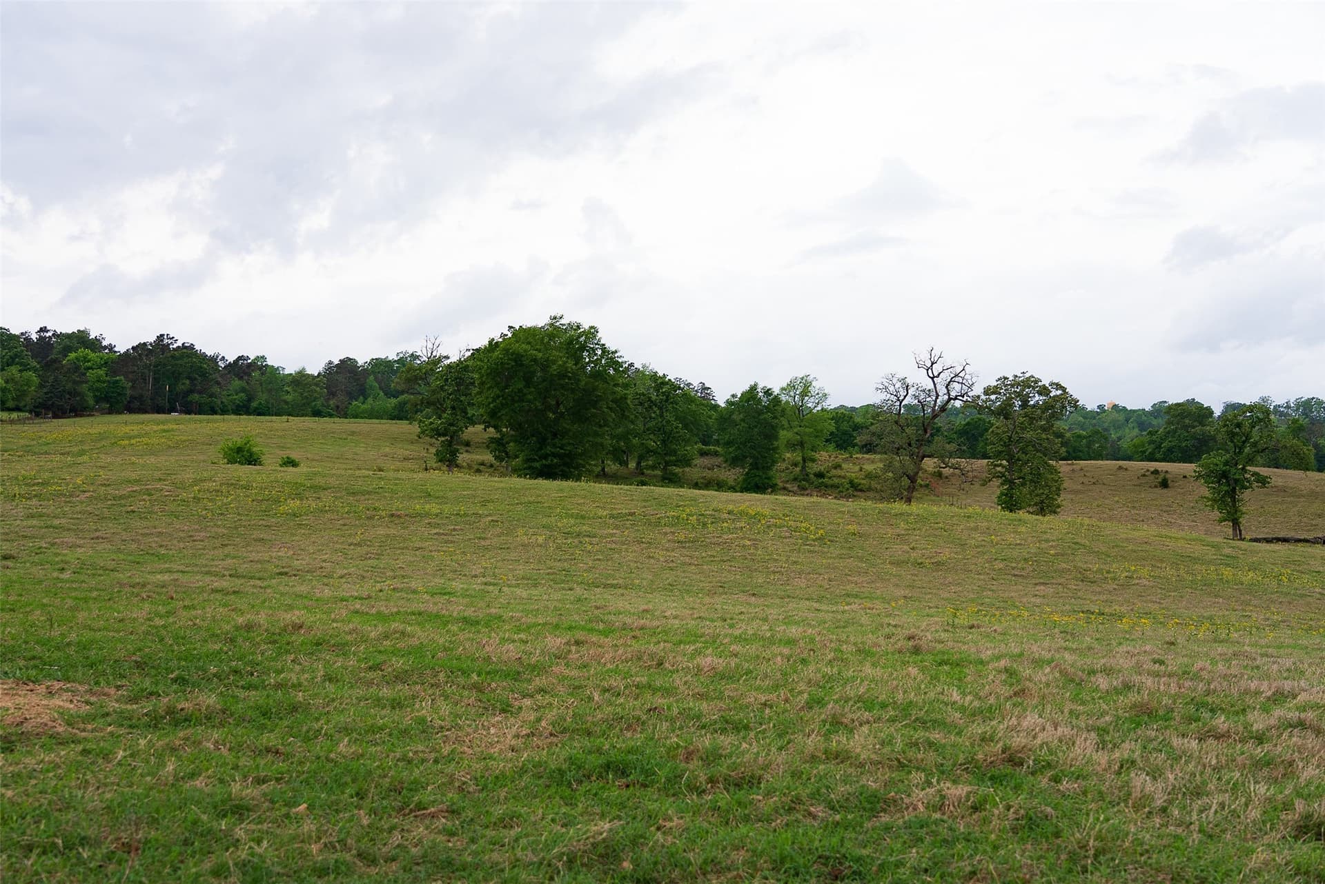 61.89 acres in Cherokee County - photo 21