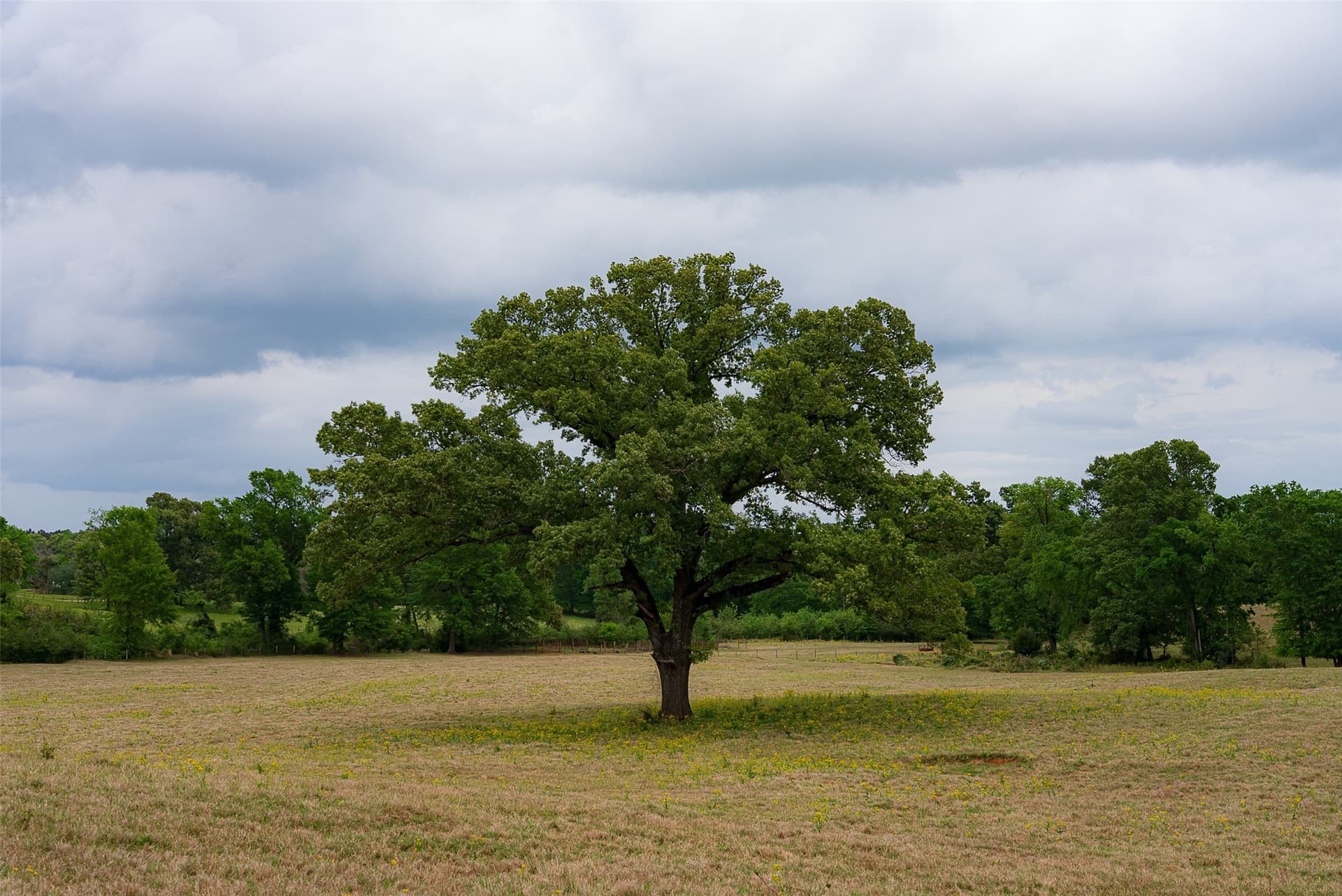 61.89 acres in Cherokee County - photo 6