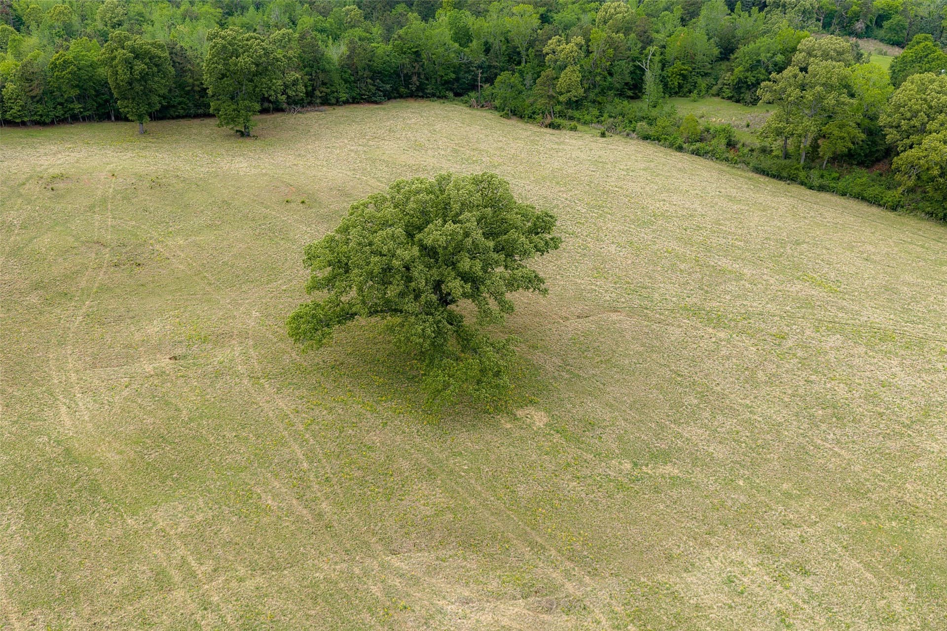 61.89 acres in Cherokee County - photo 18