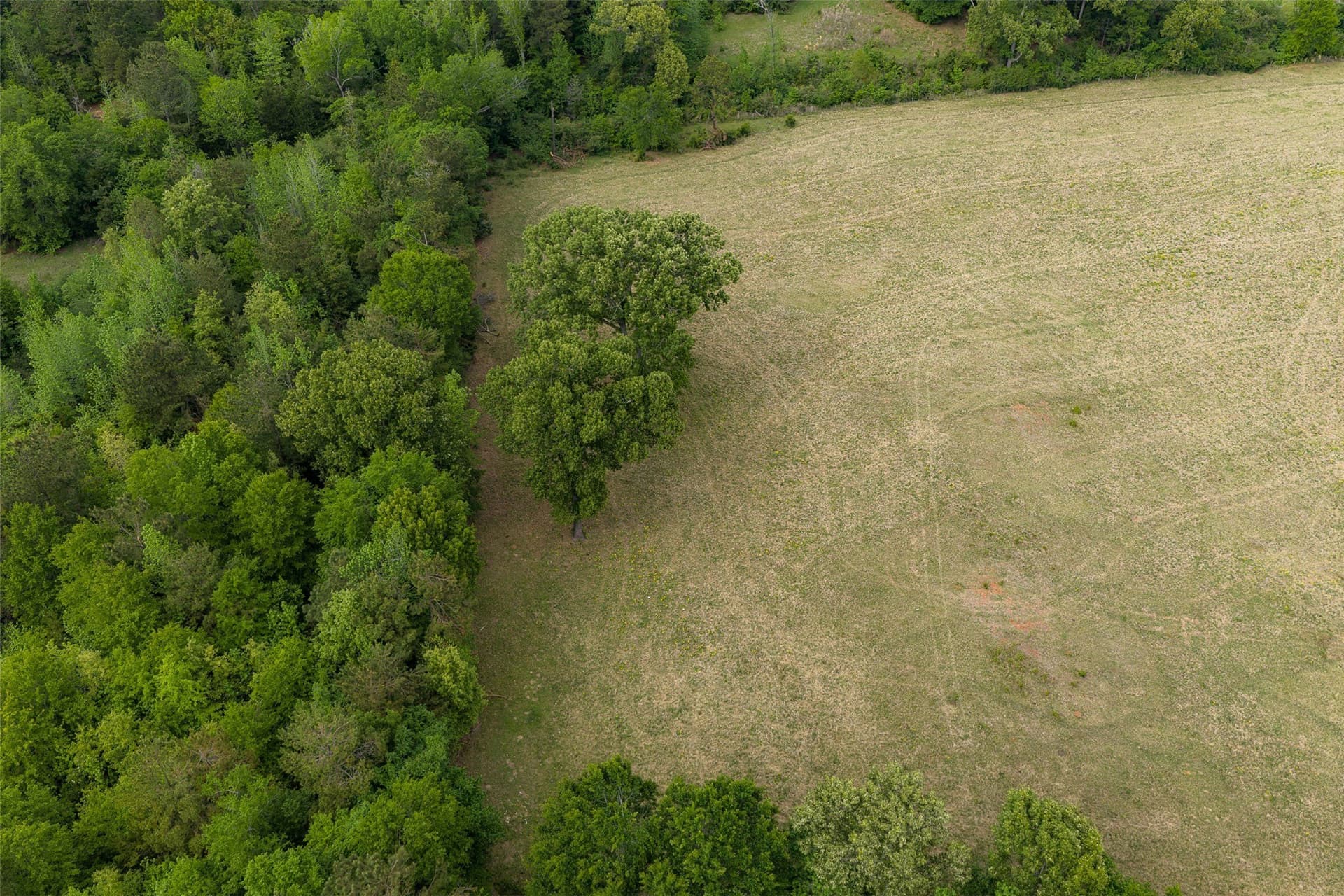 61.89 acres in Cherokee County - photo 34