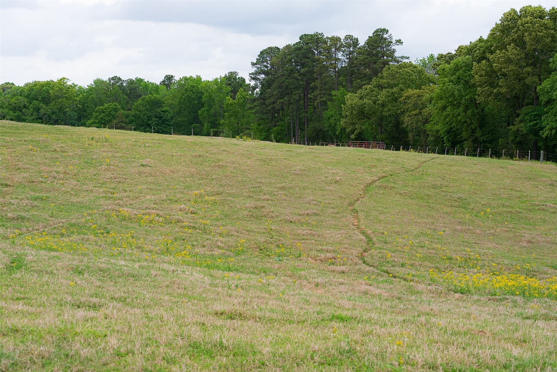 61.89 acres in Cherokee County - photo 8