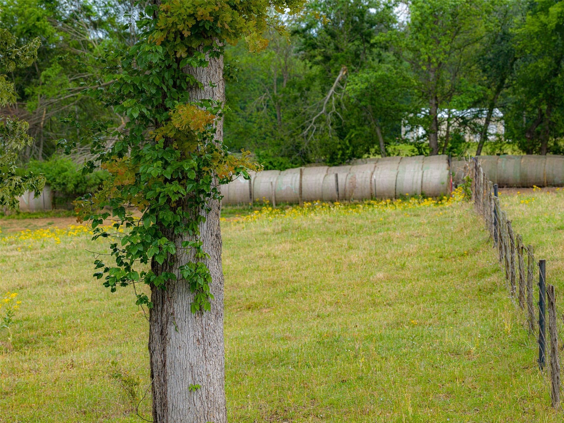 61.89 acres in Cherokee County - photo 15