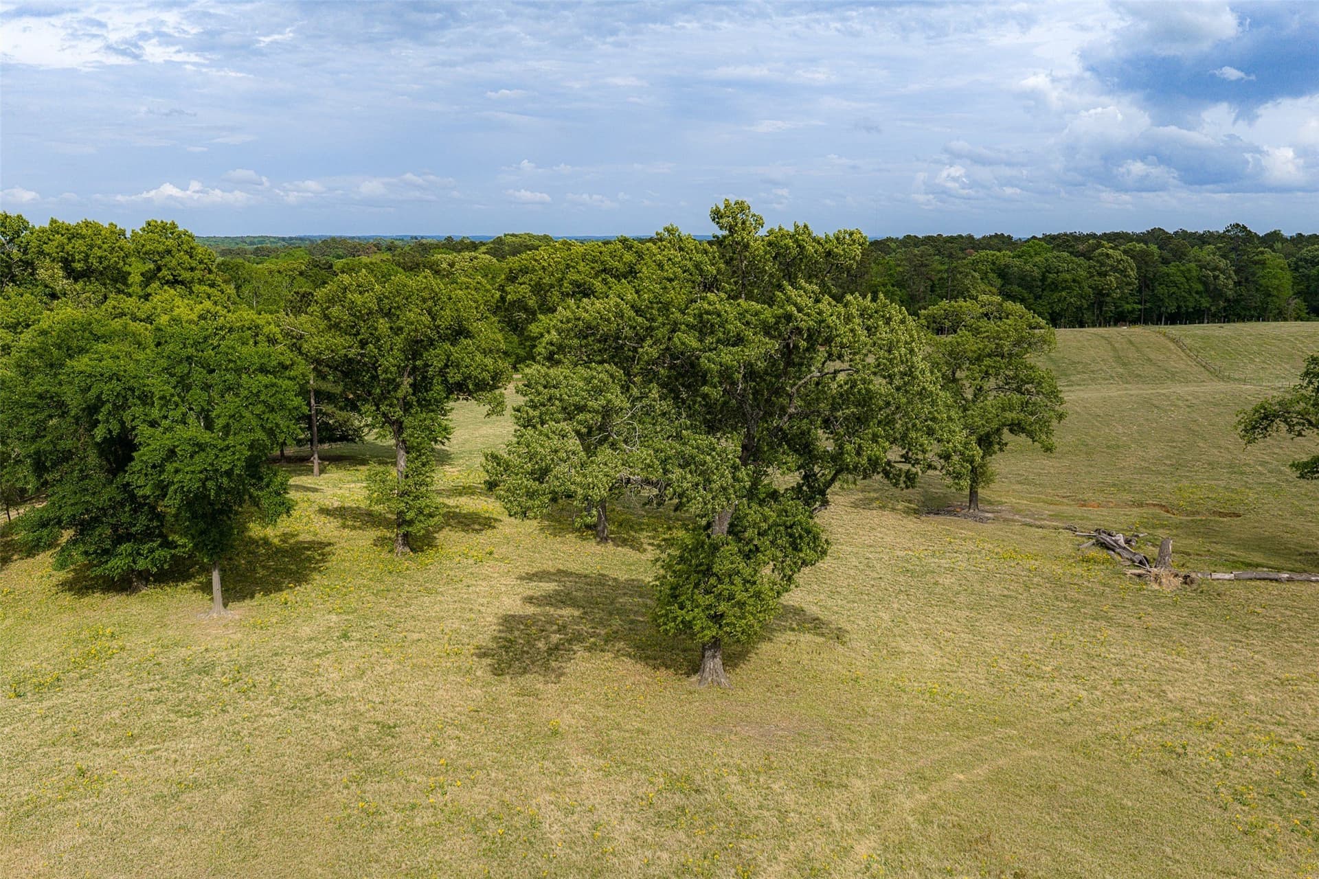 61.89 acres in Cherokee County - photo 11