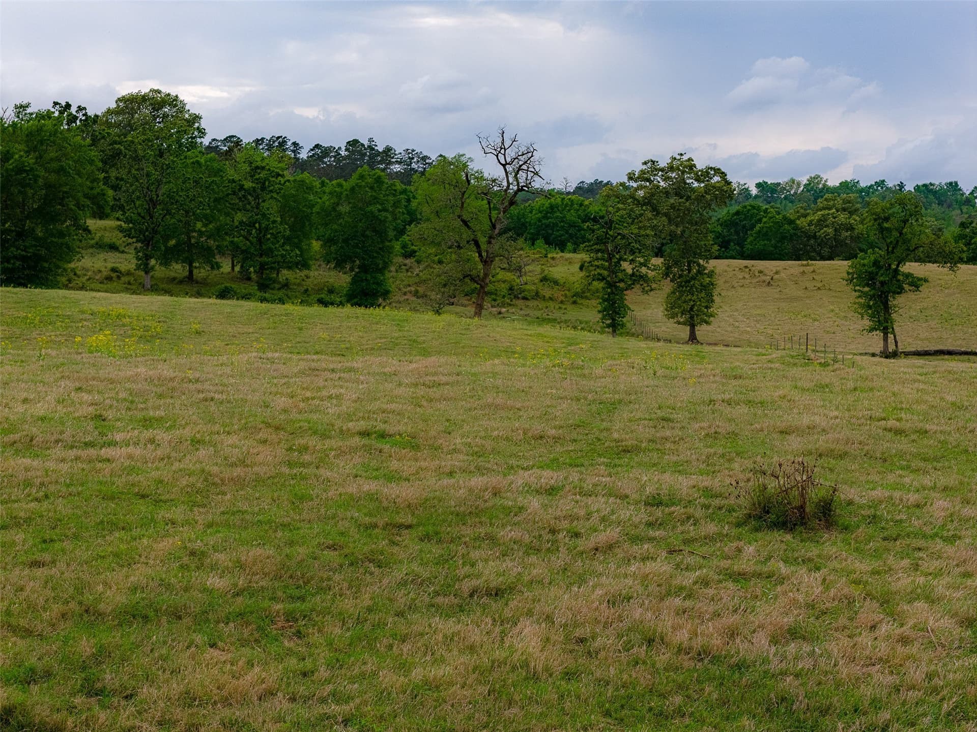 61.89 acres in Cherokee County - photo 9