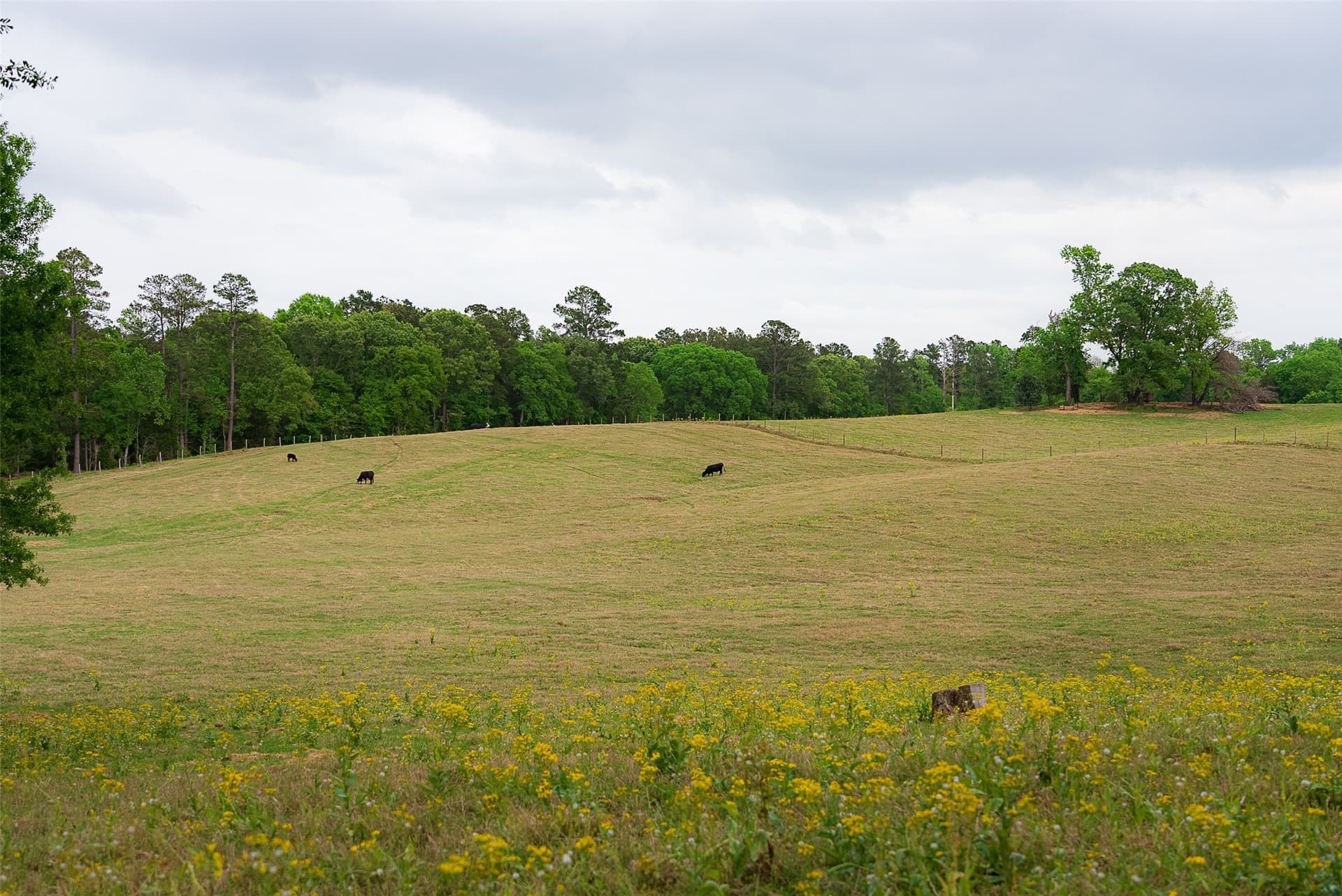 61.89 acres in Cherokee County - photo 24