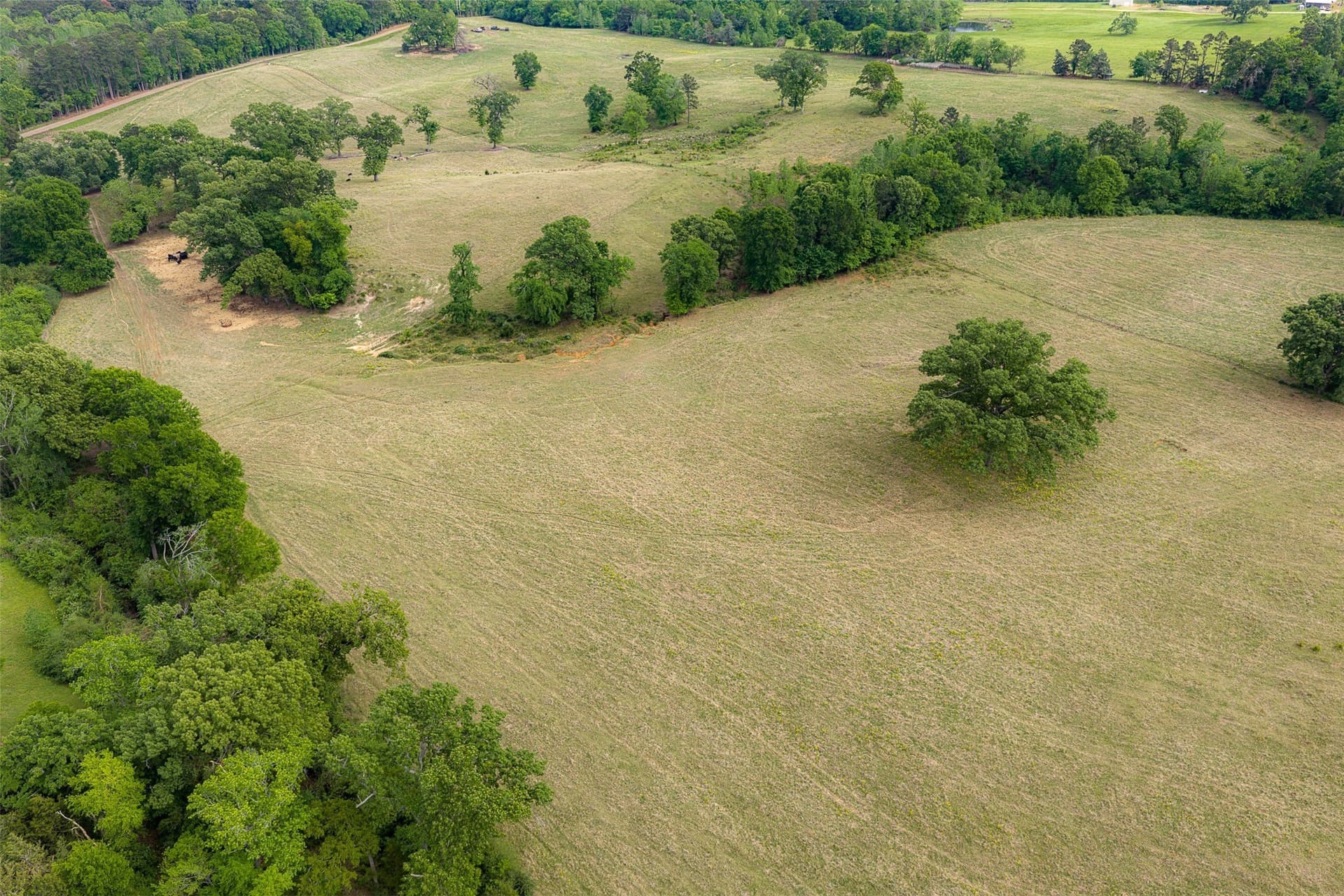 61.89 acres in Cherokee County - photo 2