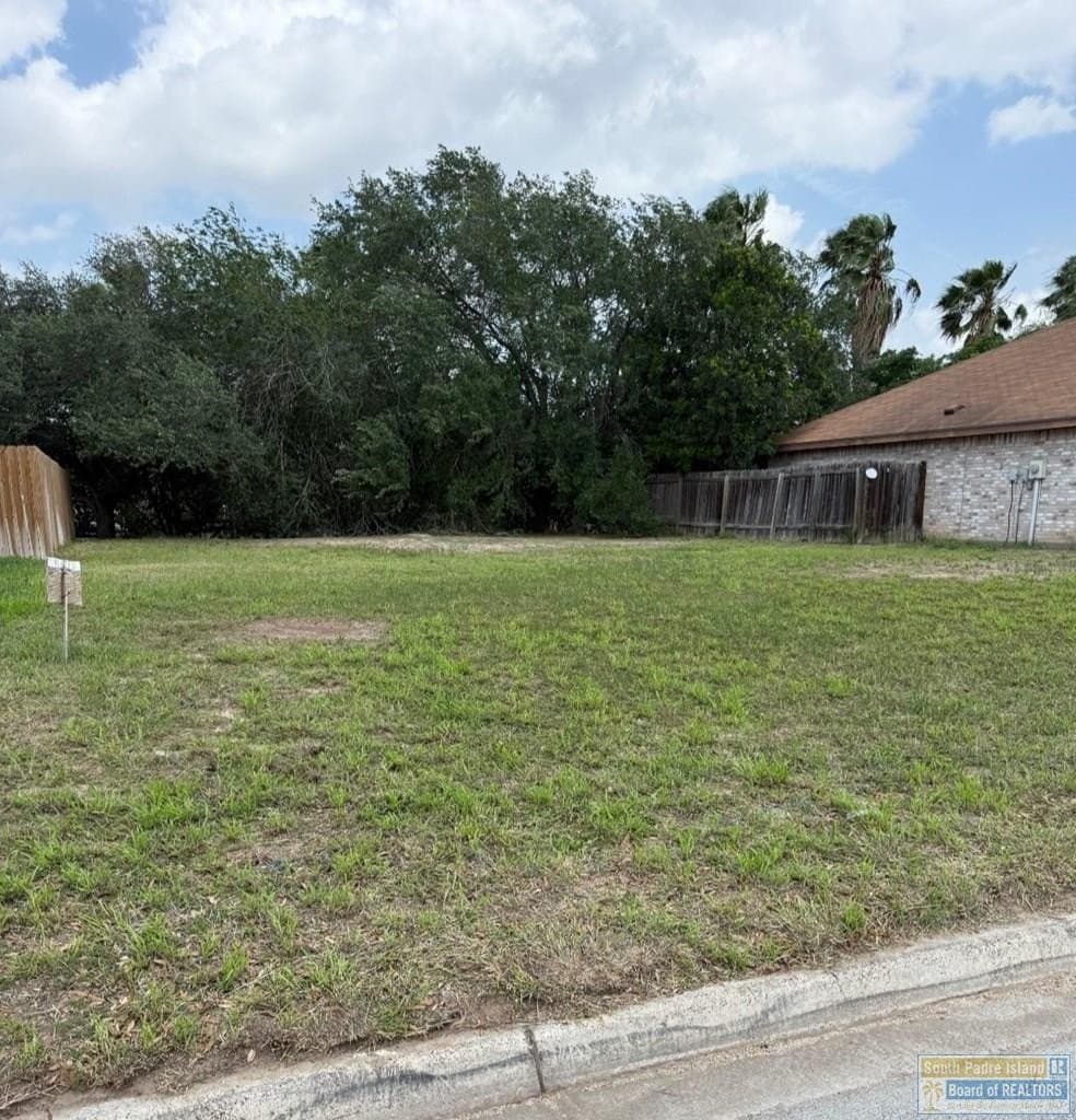 0.11 acres in Hidalgo County gallery image 2