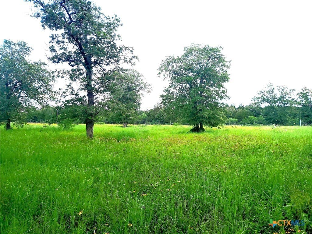 13 acres in Fayette County gallery image 2