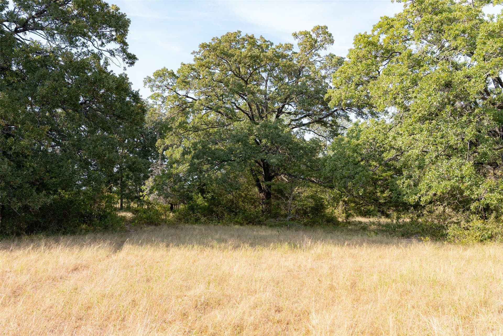 71.91 acres in Navarro County - photo 24
