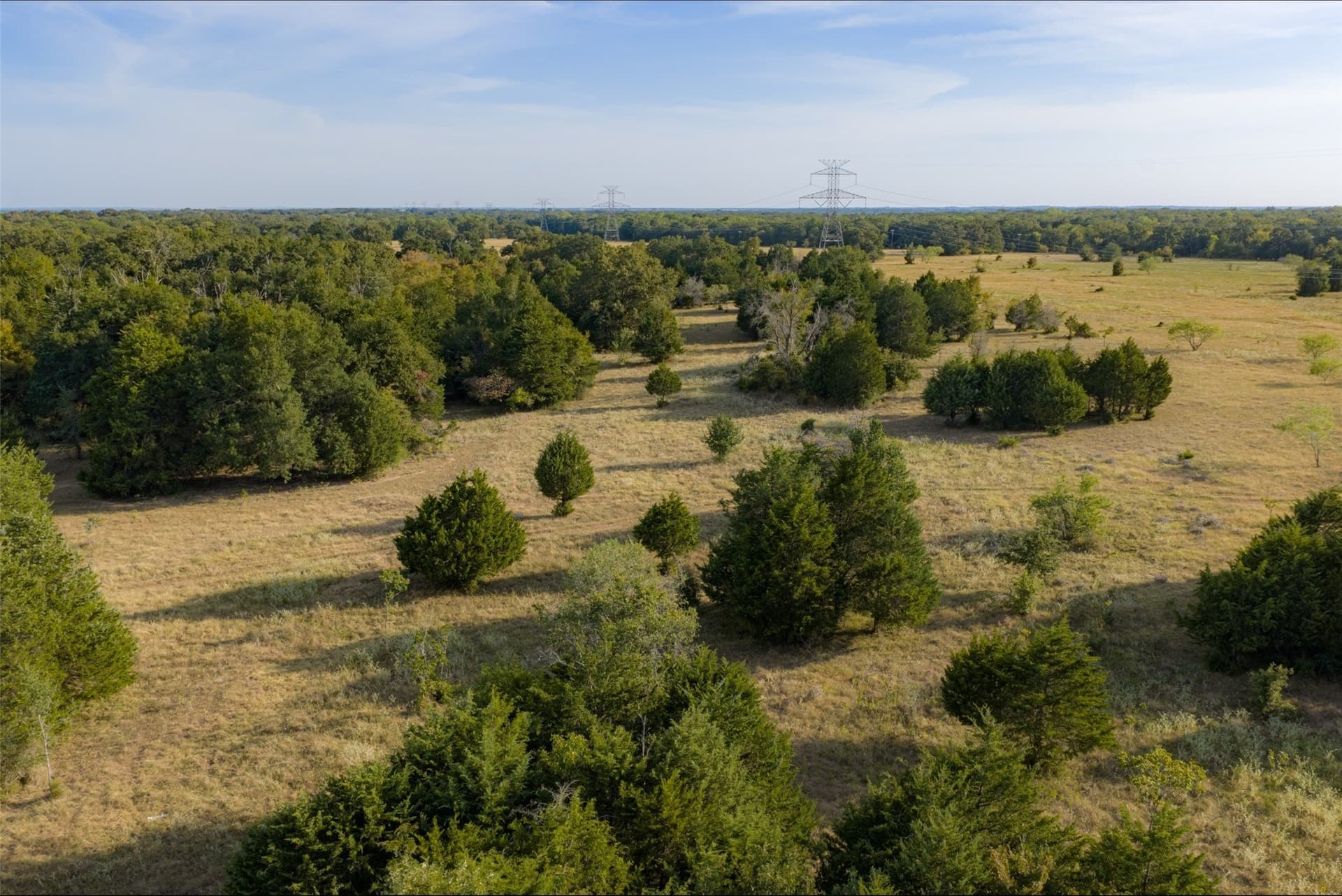 71.91 acres in Navarro County - photo 39