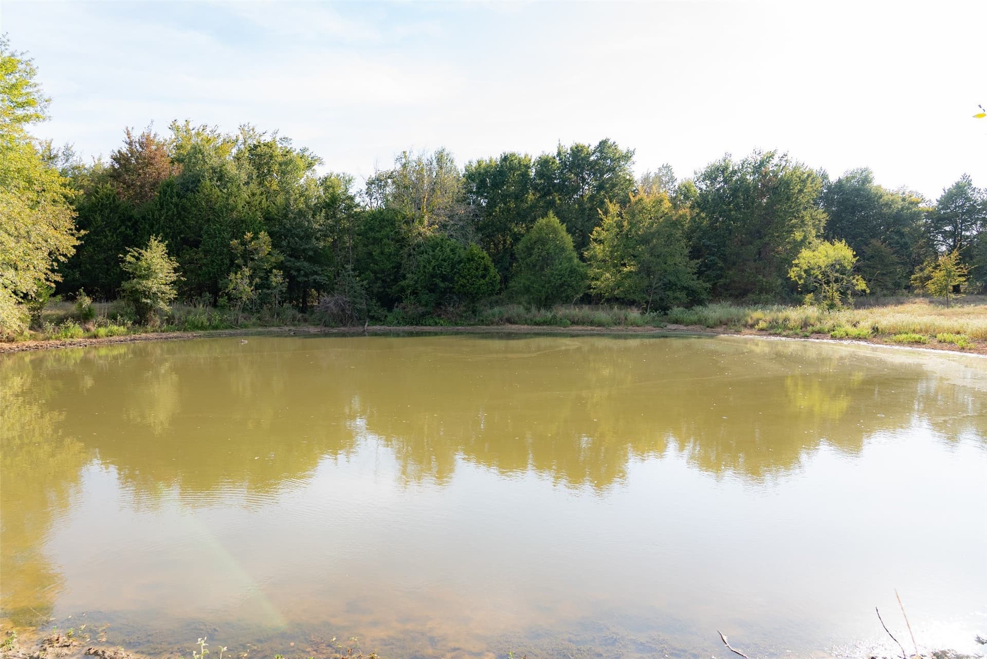 71.91 acres in Navarro County - photo 28