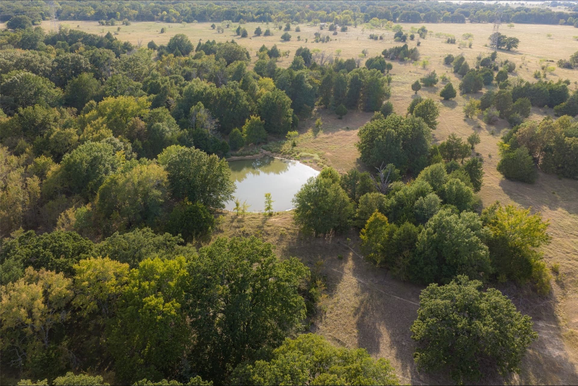 71.91 acres in Navarro County - photo 10