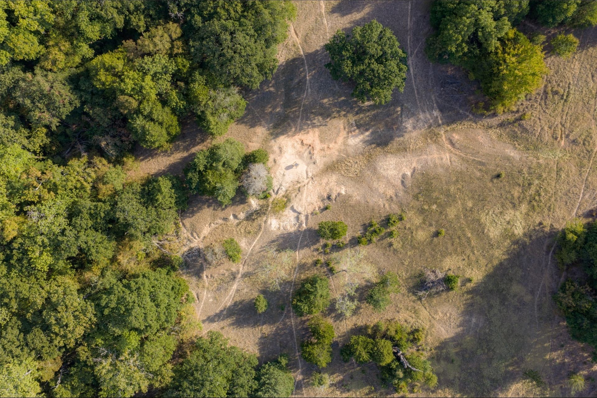 71.91 acres in Navarro County - photo 21
