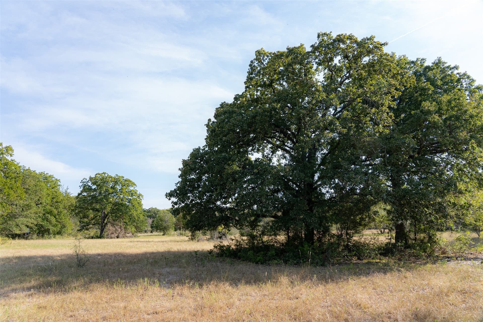 71.91 acres in Navarro County - photo 11