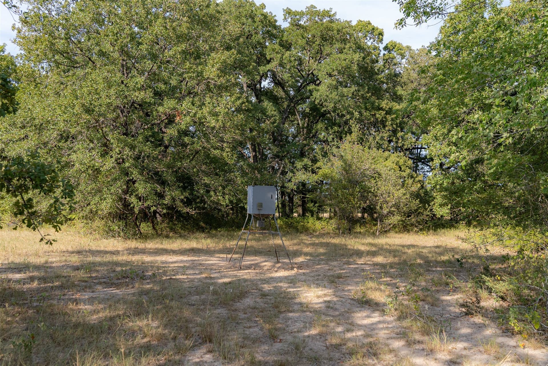 71.91 acres in Navarro County - photo 13
