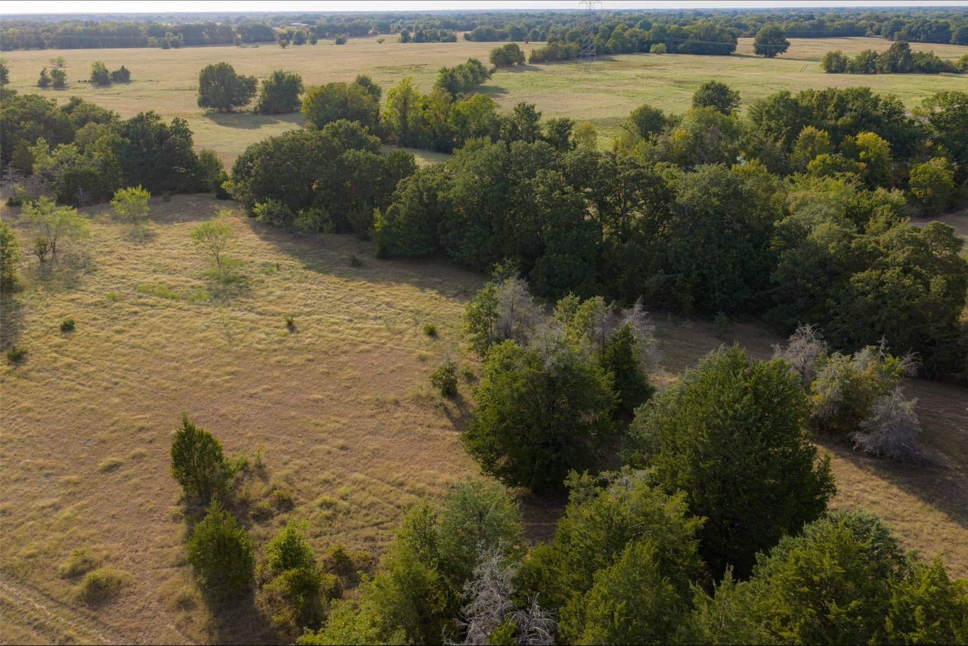 71.91 acres in Navarro County - photo 38