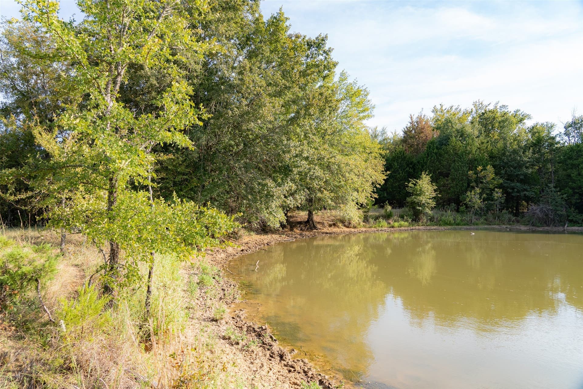 71.91 acres in Navarro County - photo 7